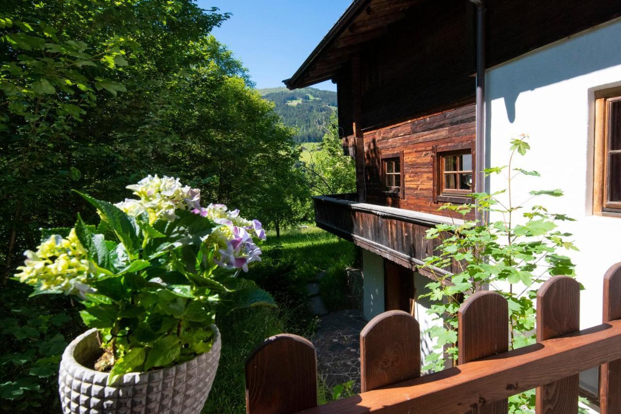 Ferienhaus Schafstall 阿尔卑巴赫 外观 照片